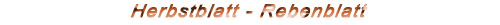Herbstblatt, Rebenblatt, Jahreszeiten,&Ouml;lmalerei, Pierre Oeuvray, Schweizermaler, Genf.