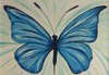 Papillon tropical, Morpho du Br&eacute;sil
