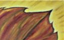 Herbst Rebeblatt, Jahreszeiten