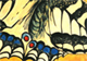 Machaon, Swallowtail