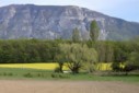 Commandez votre oeuvre : une huile sur toile de votre paysage pr&eacute;f&eacute;r&eacute;.
